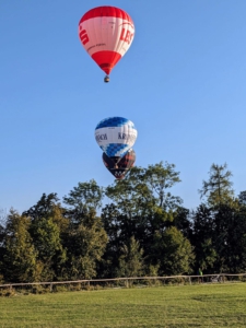 IMG_20230910_181516_1