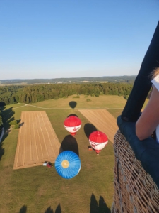 IMG_20260224_191034_5