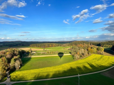 IMG_20260224_191034_7