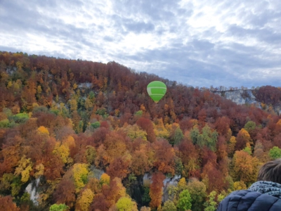 IMG_20260224_201807_1